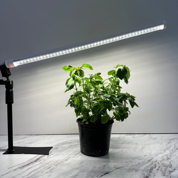 Desktop best sale grow lights